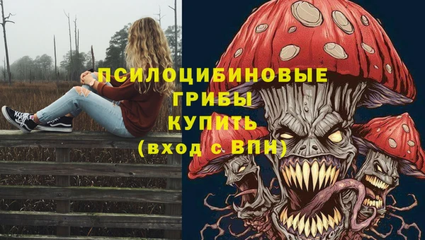 прущая мука Бугульма