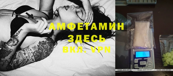 гидра Надым