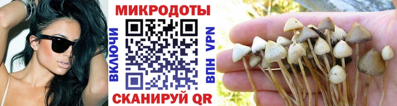 Псилоцибиновые грибы прущие грибы Белорецк